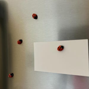 May include: A white card with a red and black ladybug magnet attached to it. The card is on a stainless steel refrigerator with three other ladybug magnets.