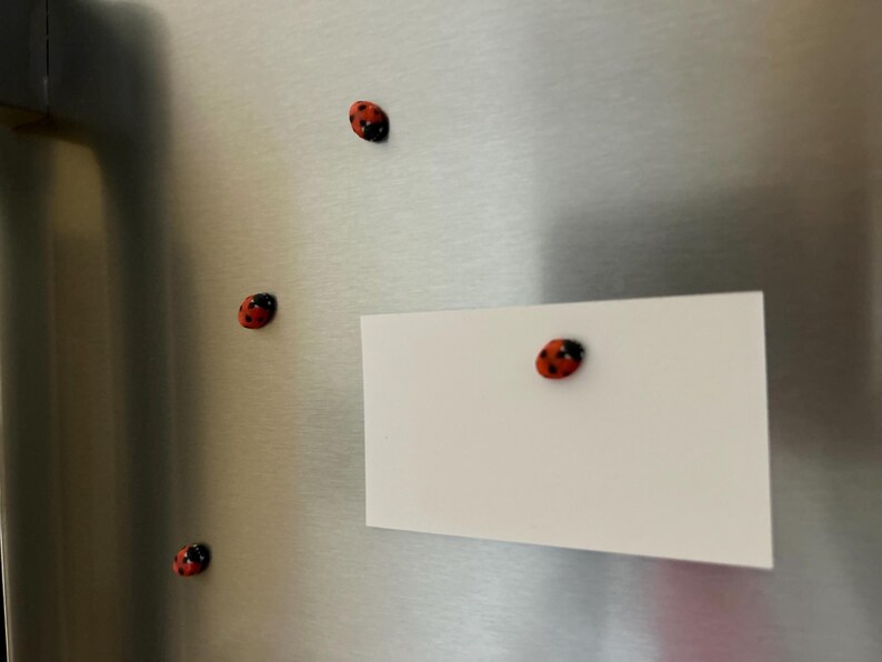 May include: A white card with a red and black ladybug magnet attached to it. The card is on a stainless steel refrigerator with three other ladybug magnets.