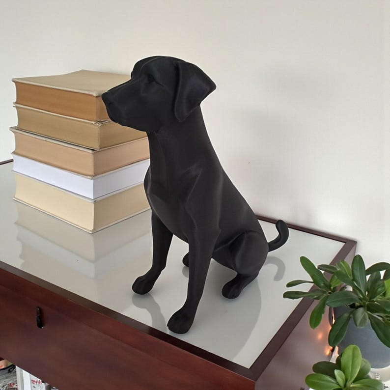 K&ouml;nnte beinhalten: Eine schwarze Labrador Retriever-Statue in sitzender Position. Die Hundefigur steht auf einer gl&auml;nzenden Oberfl&auml;che neben einem Stapel B&uuml;cher mit beigen und wei&szlig;en Einb&auml;nden. Eine Topfpflanze befindet sich in der unteren rechten Ecke.
