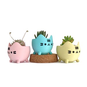 May include: Three cat-shaped planters in pastel colors: pink, blue, and yellow. Each planter has a black face design and holds a small succulent plant. The blue planter sits on a cork base.