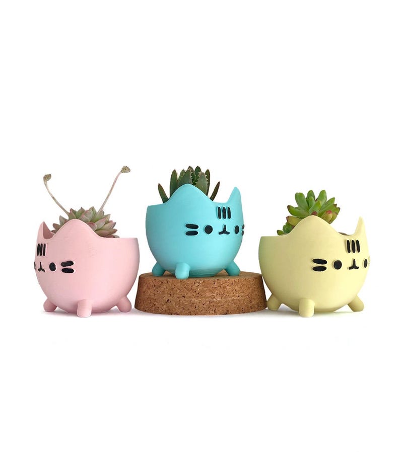 May include: Three cat-shaped planters in pastel colors: pink, blue, and yellow. Each planter has a black face design and holds a small succulent plant. The blue planter sits on a cork base.