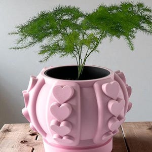 May include: A pink plant pot with a heart design, containing a green plant. The pot is round with raised heart-shaped details. The plant has delicate, feathery green leaves. The pot rests on a wooden surface.