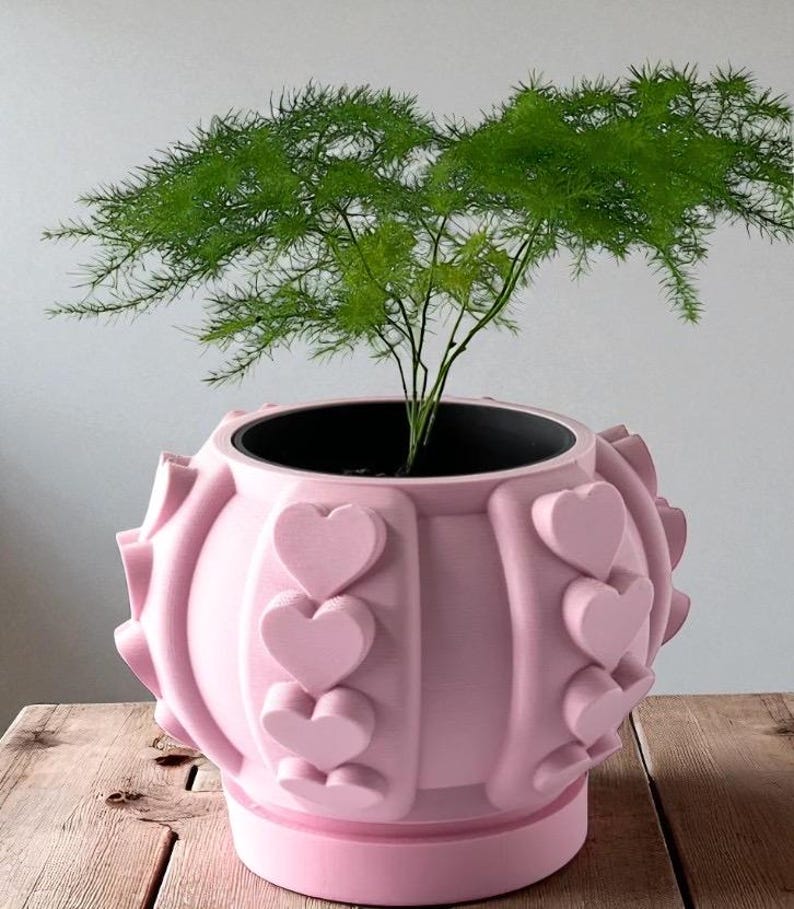 May include: A pink plant pot with a heart design, containing a green plant. The pot is round with raised heart-shaped details. The plant has delicate, feathery green leaves. The pot rests on a wooden surface.