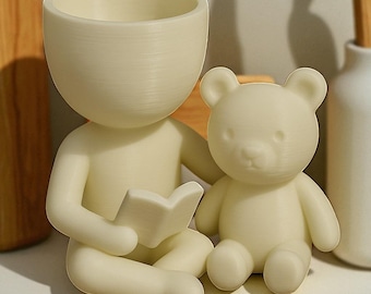 Teddybeerplanter: comfortabele succulente pot