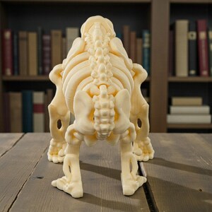 May include: A cream-colored, 3D-printed animal skeleton model, likely a dog or similar quadruped. The model is detailed, showing the spine, ribs, and leg bones. It stands on a wooden surface, with a bookshelf in the background.