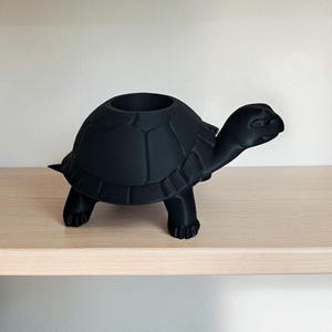 Whimsical Turtle Succulent Planter | Shelf Decor image 3