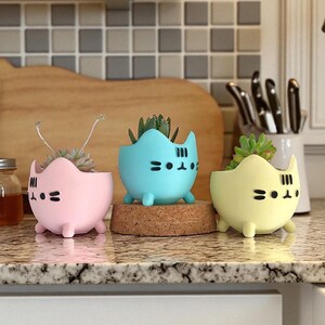 May include: Three cat-shaped succulent planters in pastel colors: pink, blue, and yellow. Each planter has a black face design and holds a small succulent plant. The planters are displayed on a countertop.