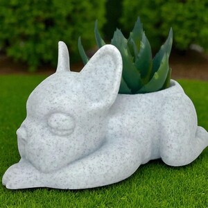 May include: A speckled white ceramic planter shaped like a French Bulldog, with a green succulent plant growing from its head. The dog is lying down on green grass, with a blurred green background.