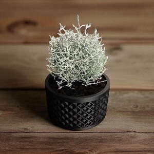 May include: A small, potted plant with silvery-white foliage. The plant sits in a black, geometric patterned pot. The pot is round and has a textured surface. The background is a wooden surface.