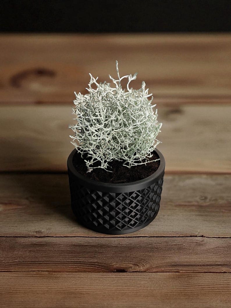 May include: A small, potted plant with silvery-white foliage. The plant sits in a black, geometric patterned pot. The pot is round and has a textured surface. The background is a wooden surface.