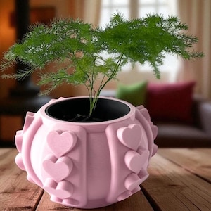Hartvormige bloempot | Planter met hartpatroon | Schattige succulente pot met hart Design