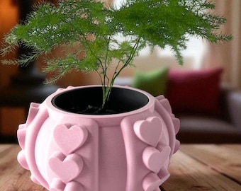 Maceta con diseño de corazón para suculentas