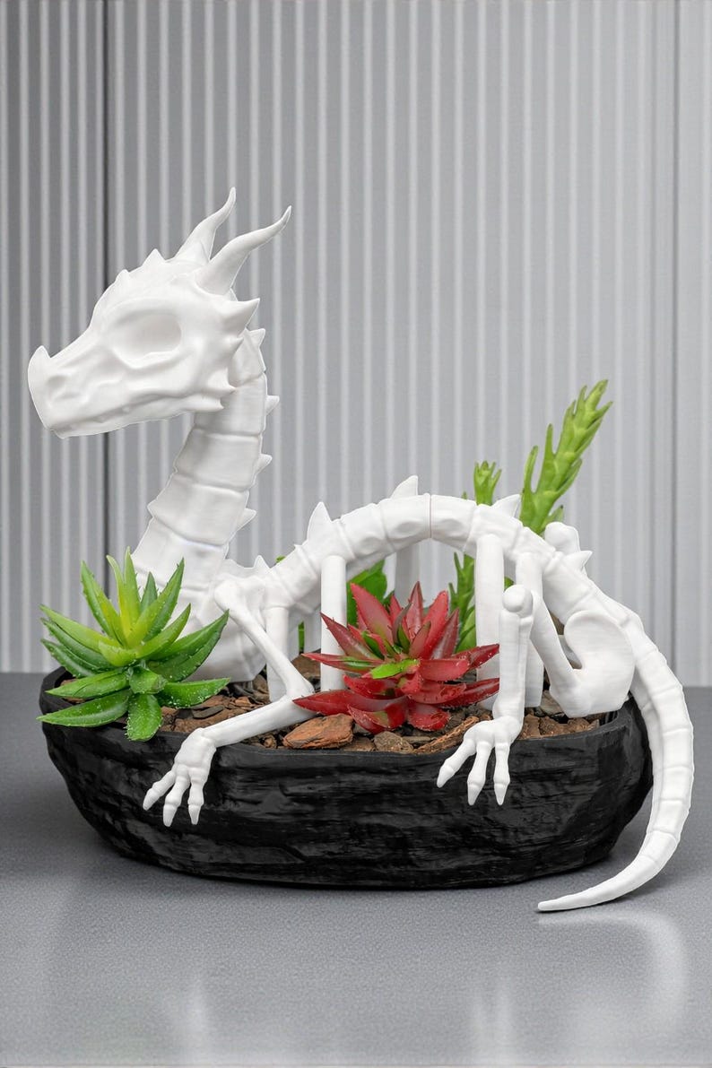 May include: A white dragon skeleton planter with a black textured pot. The planter contains green and red succulents. The dragon's skeletal form is detailed, with visible ribs, a long neck, and a tail. The overall design is a unique decorative item.