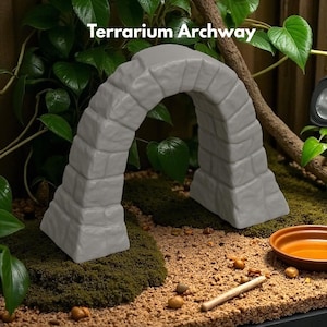 Puede incluir: Un arco de terrario gris con el texto "Terrarium Archway" en la parte superior. El arco est&aacute; hecho de un material similar a la piedra y se coloca sobre un lecho de musgo verde y arena. Tambi&eacute;n se ven un peque&ntilde;o plato marr&oacute;n y un palo de madera.