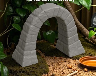 Terrario ad arco di roccia: habitat per animali domestici, decorazioni per rettili