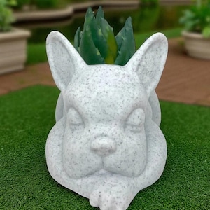 Vetplantenbak Franse Bulldog: slapende Frenchie-plantenpot