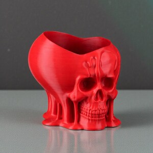 May include: A red skull-shaped planter with a heart-shaped opening. The planter has a textured surface and a detailed skull design, including eye sockets, a nose cavity, and teeth. The base has a melted appearance.