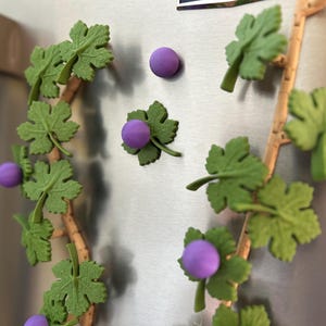 May include: Decorative grape vine magnets with green leaves and purple grapes. The magnets are attached to a metallic surface. The vine has a brown stem. The leaves are a light green color.