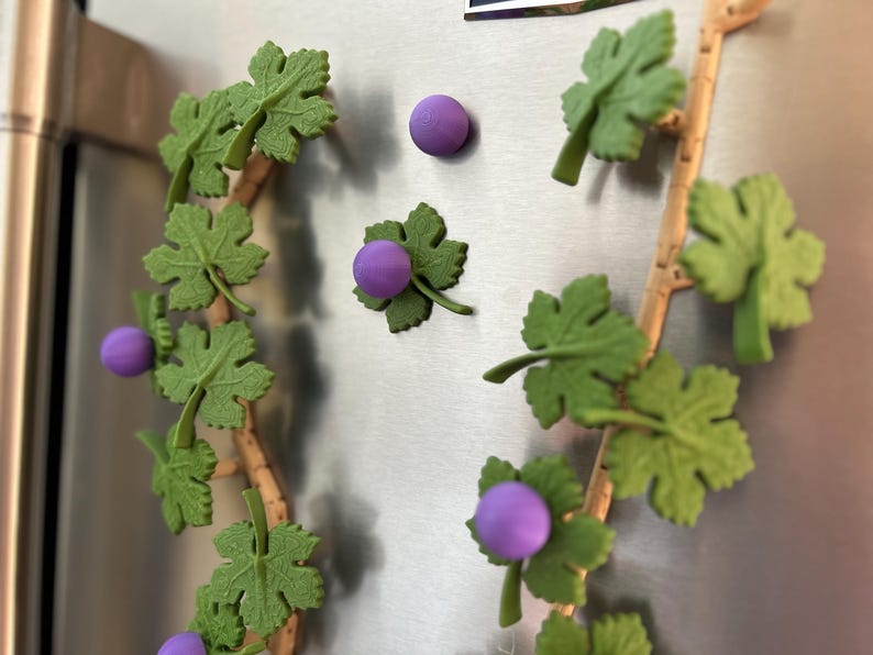 May include: Decorative grape vine magnets with green leaves and purple grapes. The magnets are attached to a metallic surface. The vine has a brown stem. The leaves are a light green color.