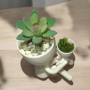 Jardinière familiale succulente : cadeau parent-enfant image 4