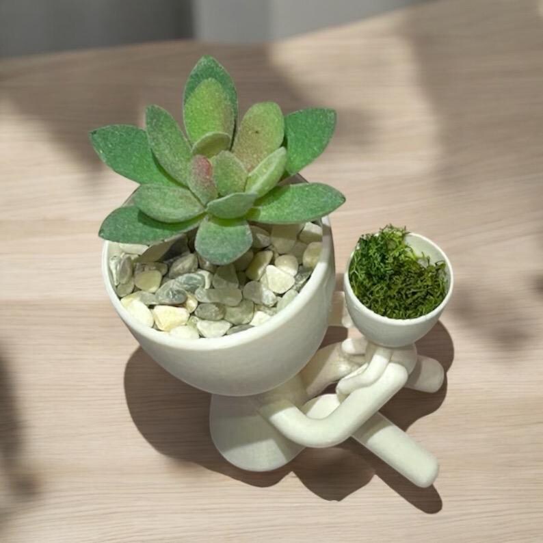 Jardinière familiale succulente : cadeau parent-enfant image 4
