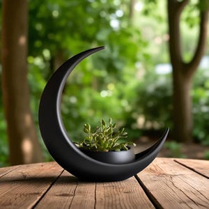 May include: A black crescent moon-shaped planter with a small, round pot holding green plants. The planter sits on a wooden table with a blurred green background of trees and foliage.