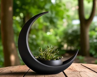 Maceta Luna Creciente: Maceta Celestial para Suculentas