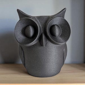 May include: A dark gray owl figurine with large, round eyes and pointed ear tufts. The owl is made of a textured material and sits on a wooden shelf. The figurine has a simple, modern design.