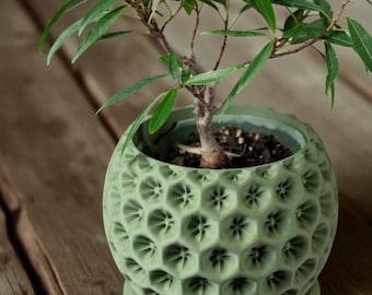 Blumentopf mit Sternenmuster: Himmlische Dekoration