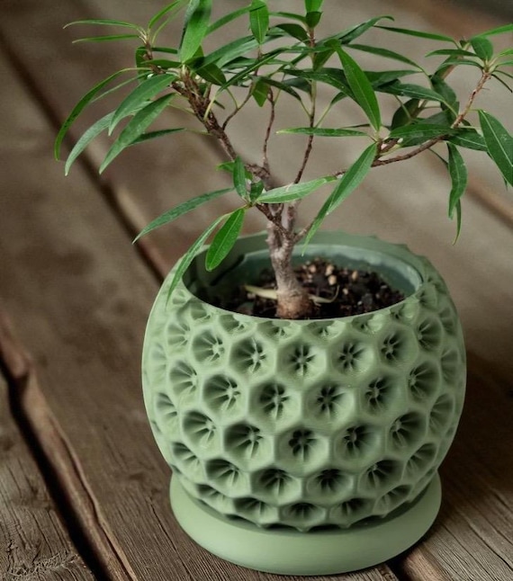 Blumentopf mit Sternenmuster: Himmlische Dekoration - Etsy sterreich