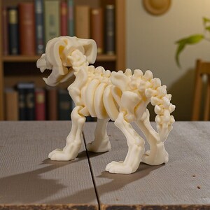 May include: A cream-colored, 3D-printed model of a canine skeleton. The model is posed in a standing position, with visible ribs, spine, and skull. The sculpture is displayed on a wooden table, with a bookshelf in the background.