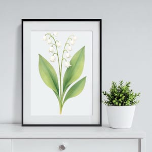 May Birth Month Flower Lilly of The Valley Flower Botanical Digital Print Wall Art