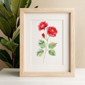 June Birth Month Flower Red Rose Flower Botanical Digital Print Wall Art