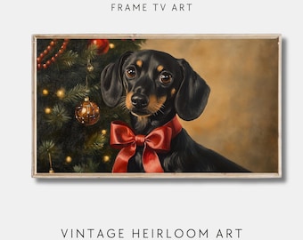 Op de afbeelding: Een zwart-bruine teckel met een rode strik om zijn nek staat voor een gedecoreerde kerstboom. De hond kijkt recht naar de kijker. De achtergrond is warm bruin.