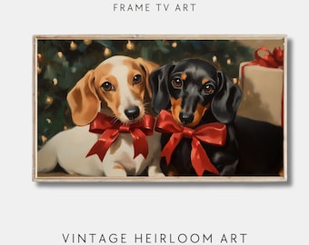 Op de afbeelding: Twee teckels met rode strikken zitten voor een kerstboom. De hond links is wit en bruin, de hond rechts is zwart en bruin.