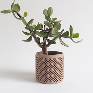 May include: A small green succulent plant in a brown, geometric patterned pot. The pot has a woven design.