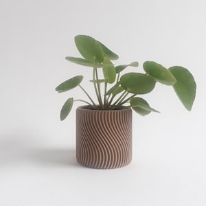 ORCHIDÉE : Cache-pot au design simple doté d’une jolie ondulation apportera un look zen à votre intérieur. Pour les amoureux des plantes.