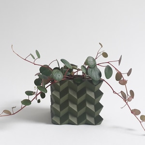 Peut inclure: Un pot géométrique vert avec une plante verte feuillue aux tiges rouges. La plante pend au-dessus du bord du pot.