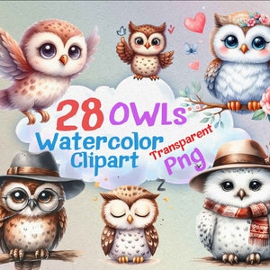 clipart hibou mignon aquarelle, lot de 28 cliparts hibou png, hiboux fantaisie colorés aquarelles, fichiers png transparents, cadeau unique pour les enfants