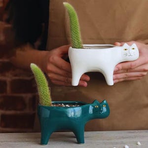 Può includere: Due vasi in ceramica a forma di gatto, uno bianco e uno verde acqua, ciascuno con un cactus verde. I vasi hanno un design minimalista con occhi gialli e un'apertura a forma di coda. I vasi sono su una superficie di legno.