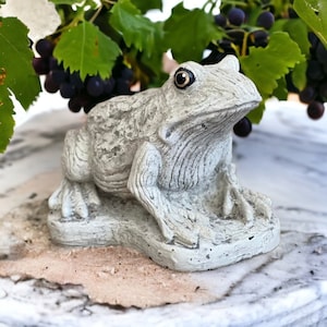May include: A gray stone frog figurine with a textured surface. The frog is sitting on a gray stone base.