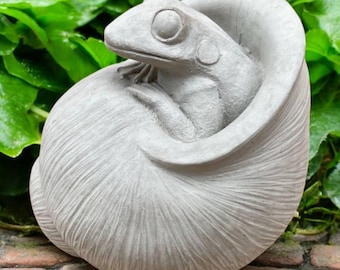 Stone Frog Sculpture Toad In House Frog Home Decor Concrete Frog In Shell Toad Figurine Realistic Frog Porch Decoration Garden Gift
