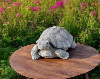 May include: A gray concrete turtle statue with a detailed shell and a realistic face. The turtle is sitting on a wooden table.