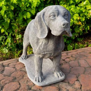 Massive Beagle Dog Concrete Pet Decor Stone Beagle Dog Figurine Pet Sympathy Gift Dog Art Beagle Dog Breed Standing Beagle On Base