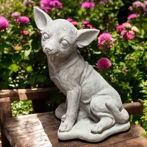 Concrete Chihuahua Statue Sitting Dog Figure Chihuahua Dog Breed Pet Memorial Outside Pet Ornament Chihuahua Lover Gift Stone Puppy