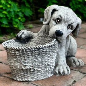 May include: A gray concrete dog statue with a basket planter. The dog is sitting with its head tilted and looking at the viewer. The basket is woven and has a rope trim.