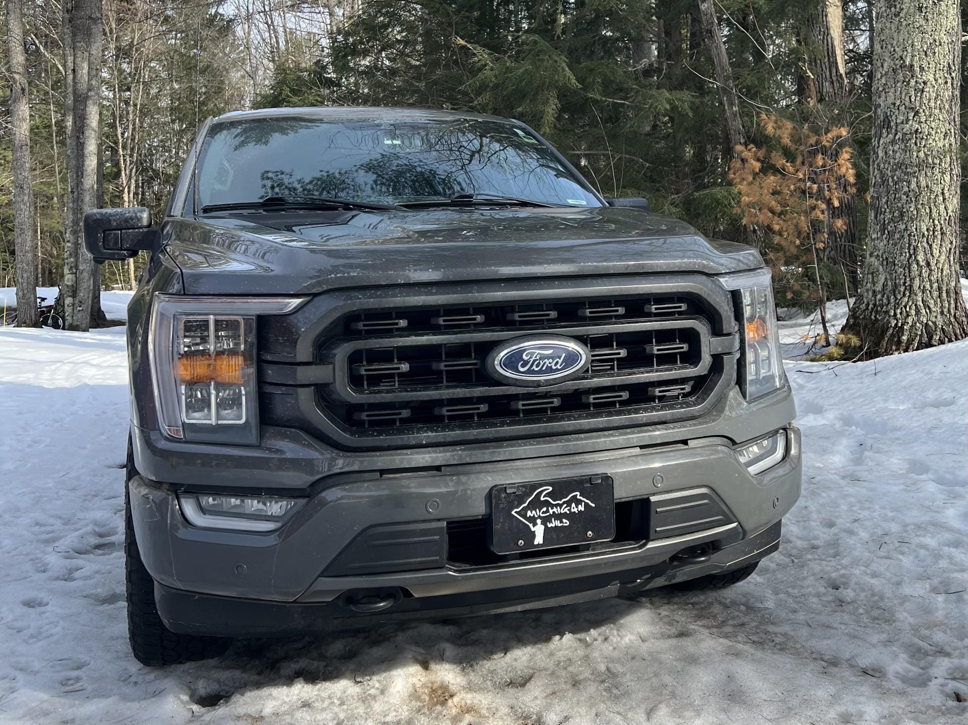 Michigan Wild Man License Plate
