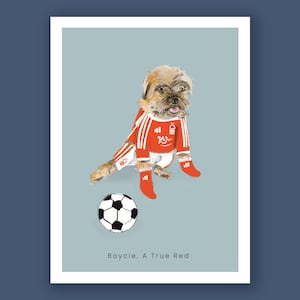 Custom Football Fan Pet Illustration, Quirky gift, Hand drawn, Fun Personalised illustration, Custom Pet portrait gift image 6