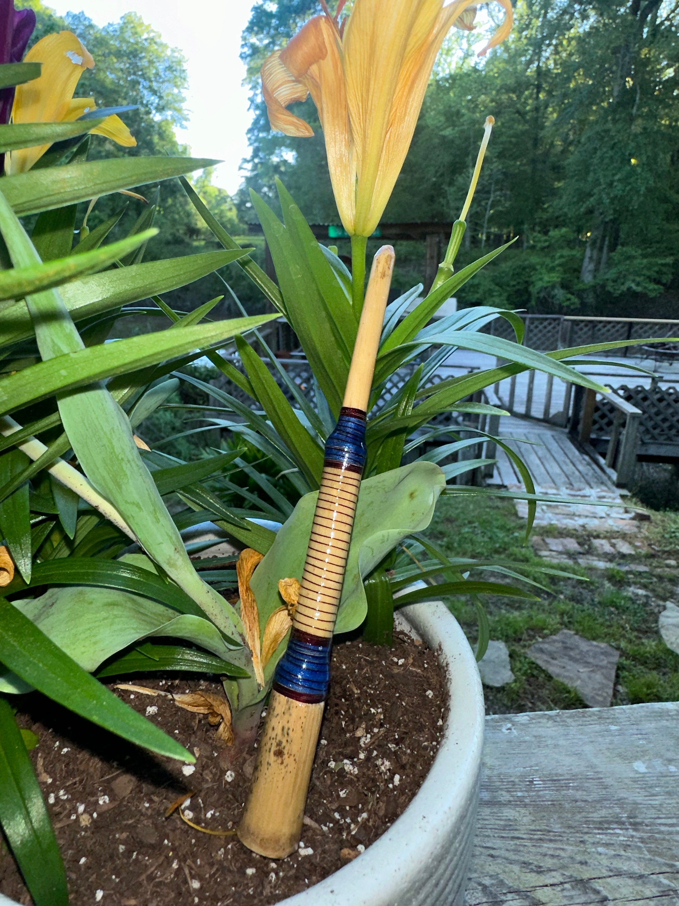 Trumpet Turkey Call Etsy