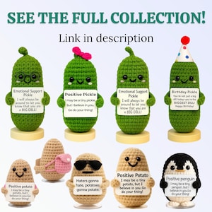 Graduation Gift – Pickle Crochet Plush – Congrats Graduate– Class of 2026 Bild 15